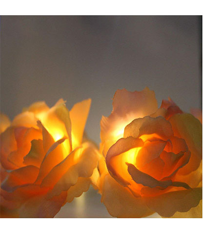 ریسه LED بانو مد مدل Rose Large محصول بانو مد Products